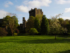 Blarney Castle